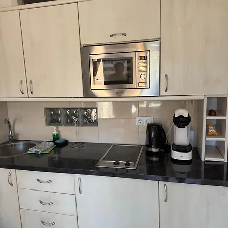 شقة Palmeras فوينخيرولا